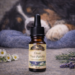 Élixir Nuit Paisible pour chien