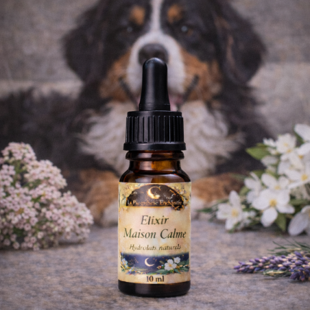 Élixir Maison Calme pour chien