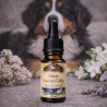 Élixir Maison Calme pour chien