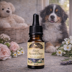 Élixir Accueil Doux pour chien