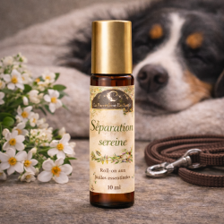 Roll-on Séparation Sereine pour chien