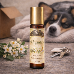 Roll-on Élixir Adaptation pour chien