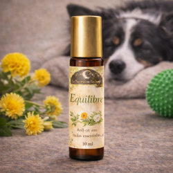 Roll On Elixir d'Equilibre