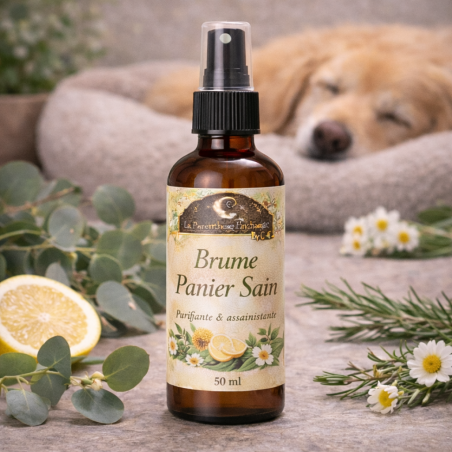 Brume Panier Sain pour l’environnement du chien