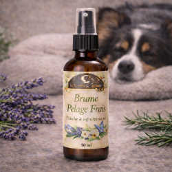 Brume Pelage Frais pour chien