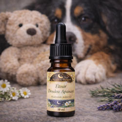 Élixir Doudou Apaisant pour chien
